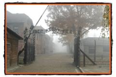 Lagarele de la Auschwitz Birkenau