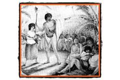 Maorii evolutie gene si popoare in miscare