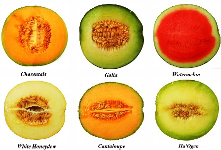 9 beneficii ale pepenelui galben. Fructul-minune pe care trebuie să îl consumi toată vara!